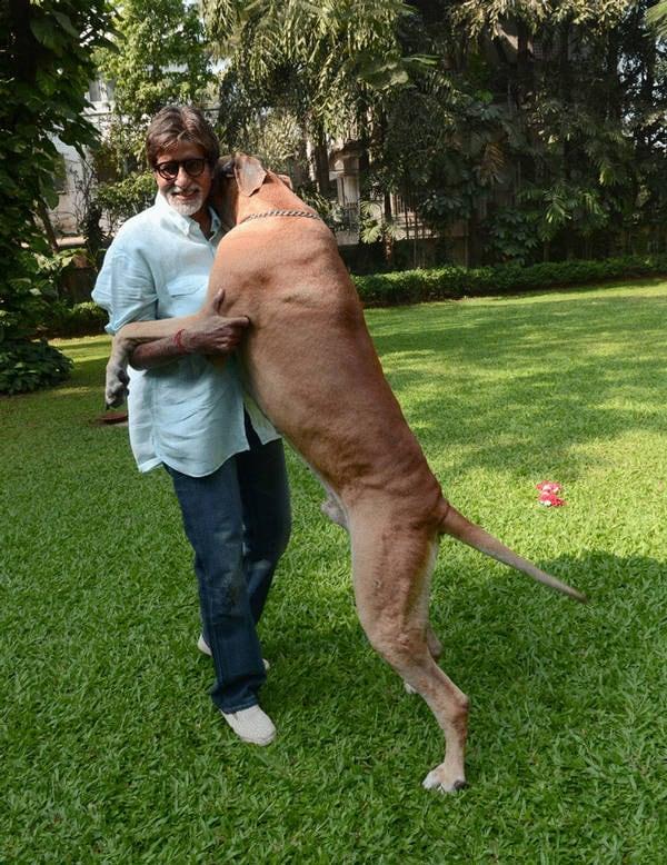 Amitabh Bachchan with his pet dog,Â Shanouk
