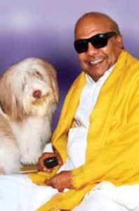 M Karunanidhi, A Dog Lover