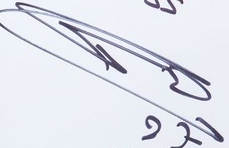 Marouane Fellaini's signature